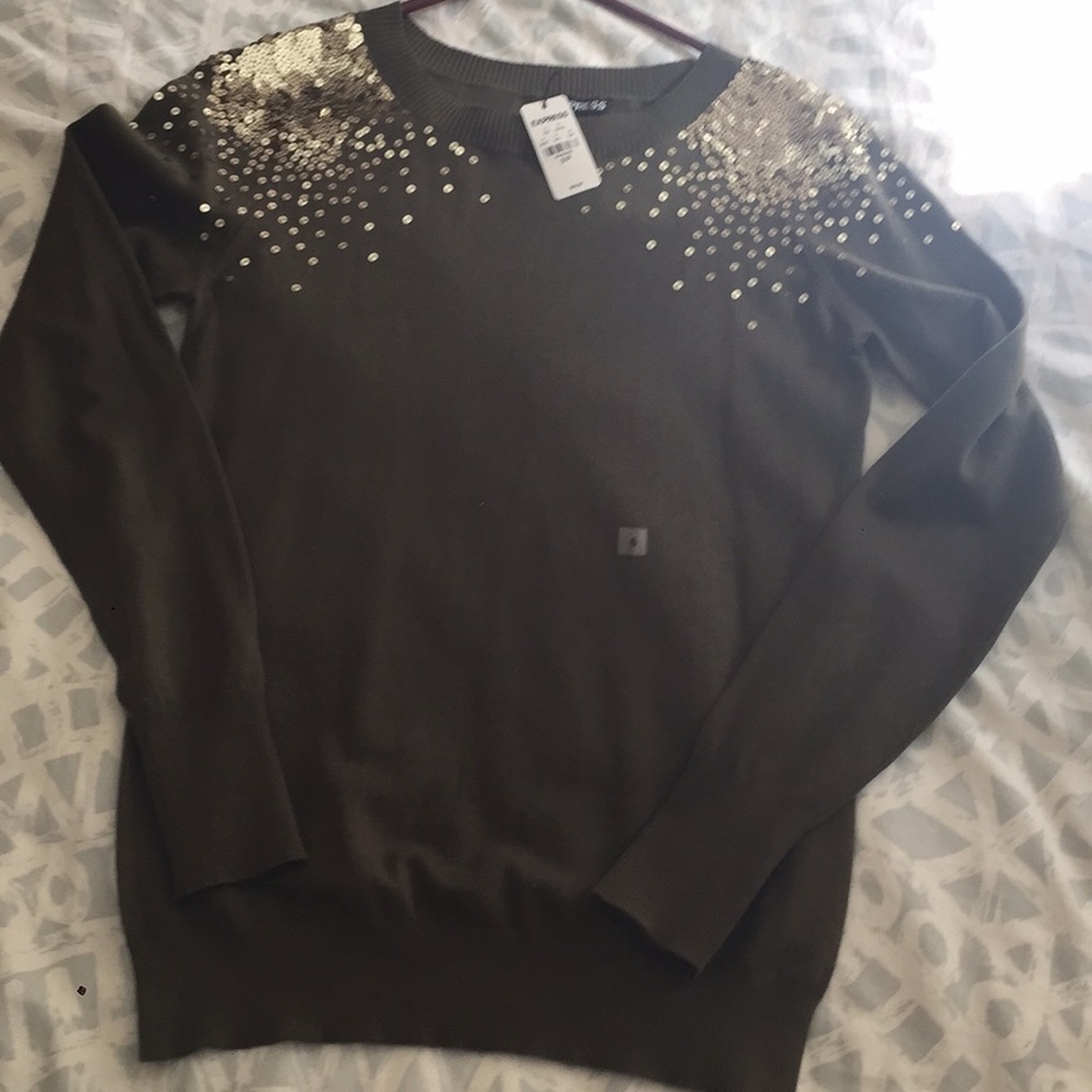 Express hunter green sweater